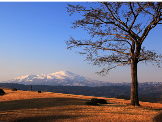 眺海の森さんさん